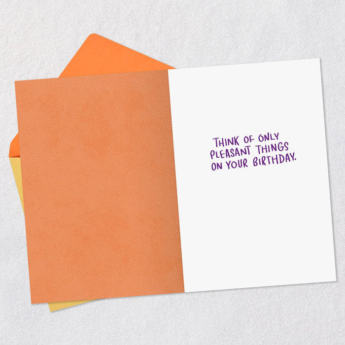 Only Pleasant Things Funny Birthday Card