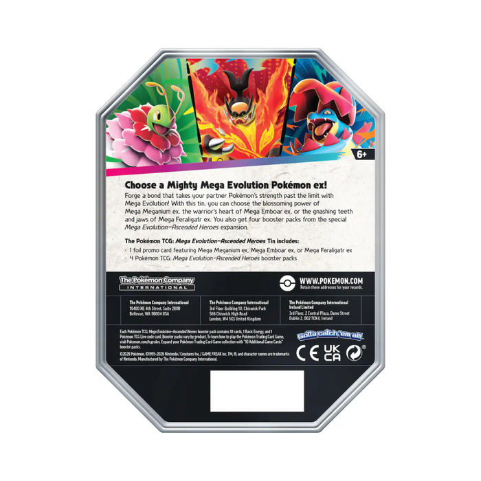 A Pokémon TCG promo card insert for the Mega Evolution Arceus expansion, featuring artwork of Arceus and a pink dragon, with text detailing the promo contents and official branding.