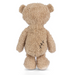 Beige teddy bear on a white background