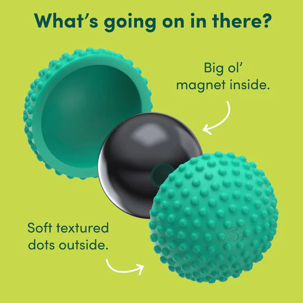 Teal textured ball with a black magnet inside on a green background