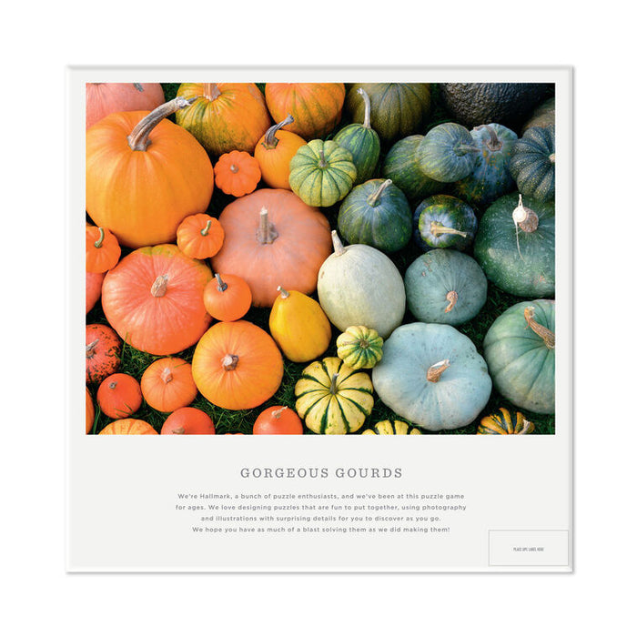Assorted pumpkins and gourds arranged together with text overlay.