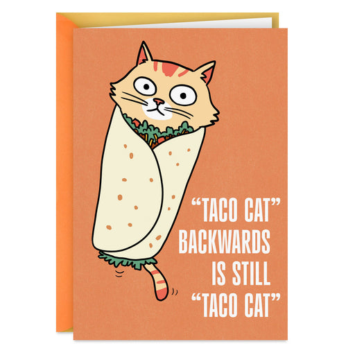 Card with a cartoon cat in a burrito and humorous text on an orange background