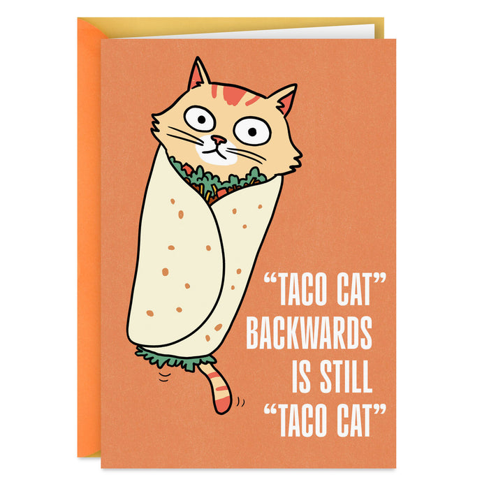 Card with a cartoon cat in a burrito and humorous text on an orange background