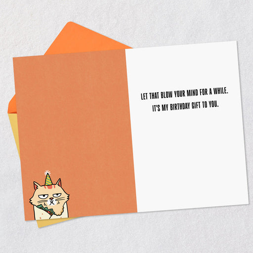 Greeting card with cat illustration and humorous text on an orange envelope.