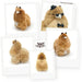 A fluffy tan plush alpaca toy shown in multiple white-bordered photo-style frames on a white background, with one frame showing the toy from the back and a center graphic reading '360°'. The toy has small black ears and a small white tag attached.