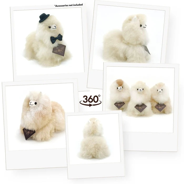 Plush toy with accessories on a white background
