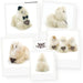 Plush toy with accessories on a white background