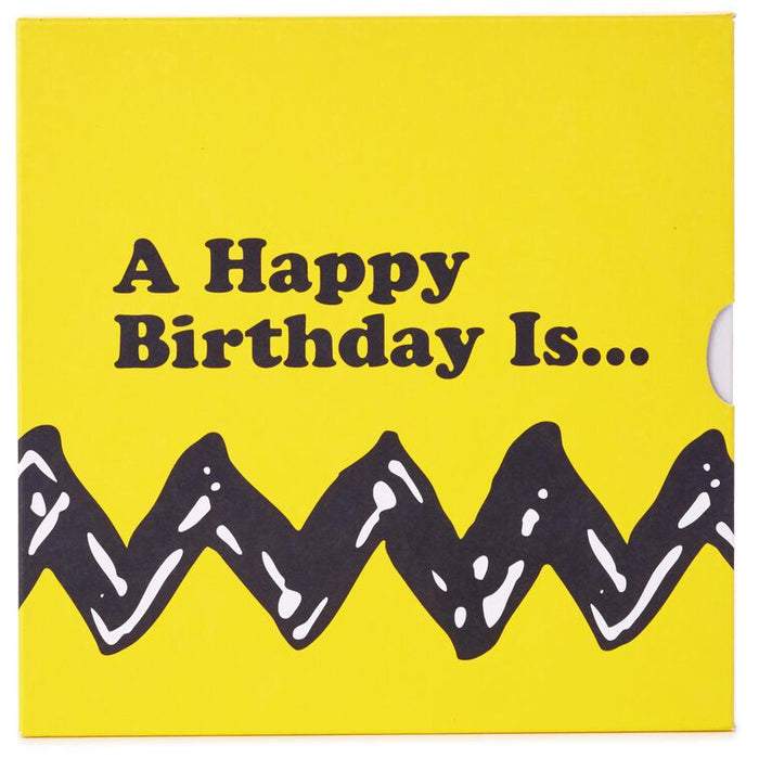 Peanuts® A Happy Birthday Is… Book