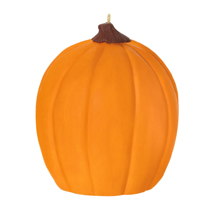 Orange pumpkin with a brown stem on a white background