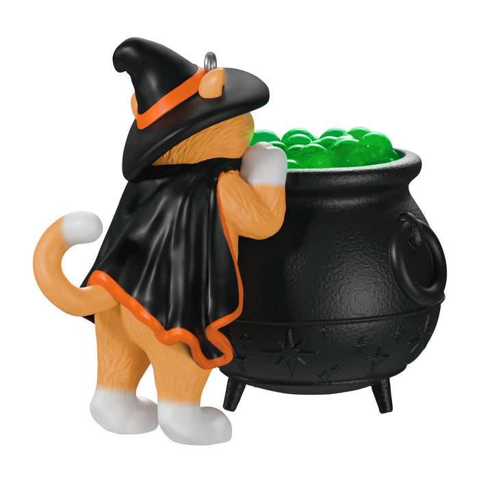 Cat figurine dressed as a witch with a black cauldron and green beads on a white background