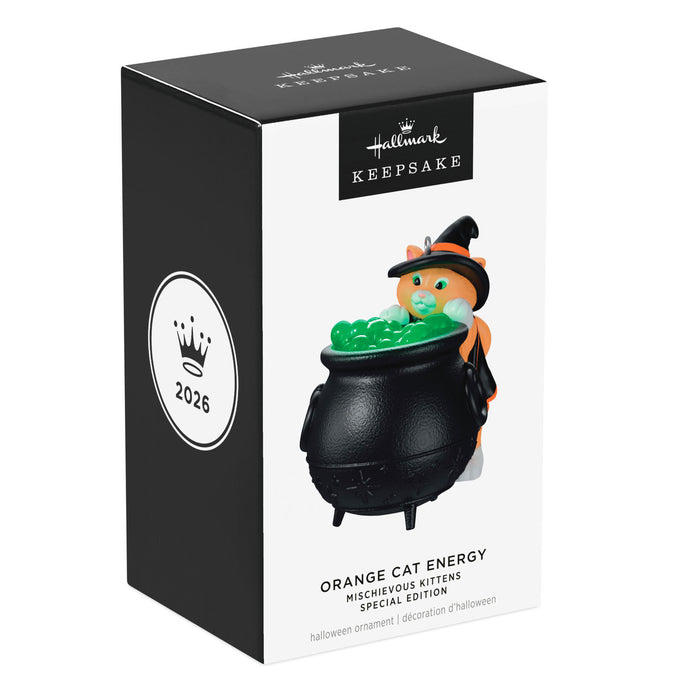 Hallmark Halloween ornament packaging with a cat in a witch hat and cauldron.