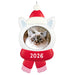 Cat-shaped Christmas ornament with a picture of a cat, red scarf, and Santa hat on a white background.