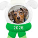 Decorative ornament with a dog's photo with a green scarf displaying '2026' inside a decorative frame.
