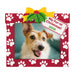 Dog photo frame with 'My Fur-st Christmas! 2026' text and paw prints on a red border.