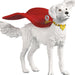White dog wearing a red superhero cape and yellow mask on a white background