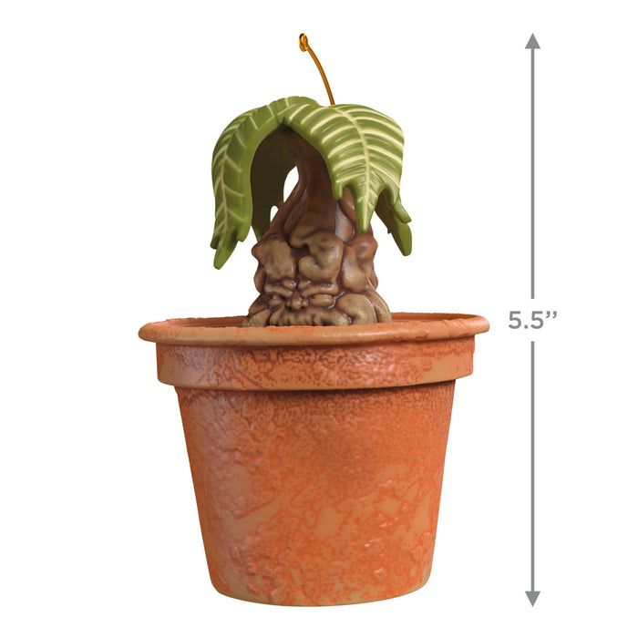 Harry Potter™ Mandrake™ 2025 Ornament With Sound