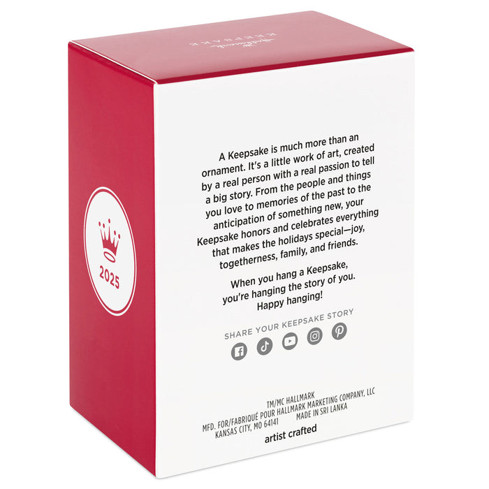 Nickelodeon SpongeBob SquarePants Sponge-Boxed for Christmas 2025 Ornament