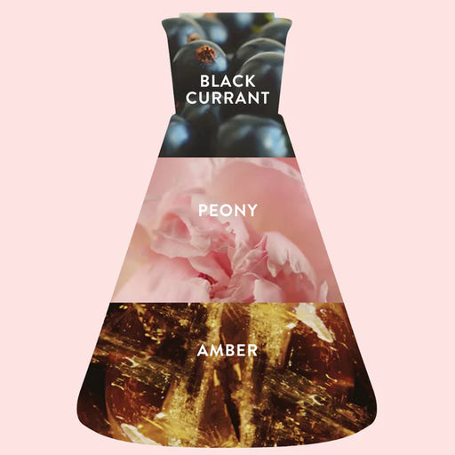 Product packaging with black currant, peony, and amber labels on a pink background