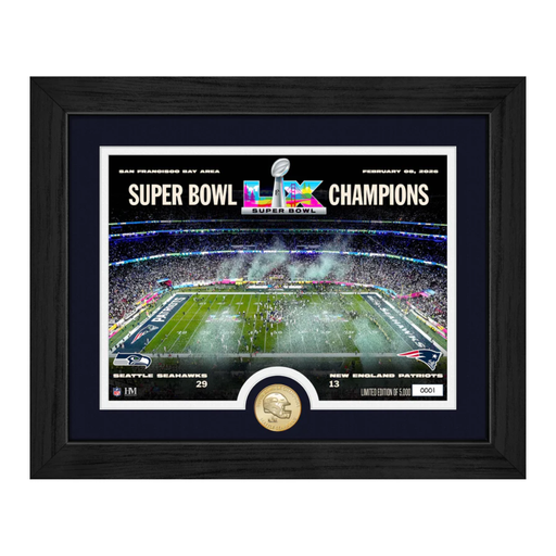 Framed Super Bowl LIX Champions photo with stadium view and coin