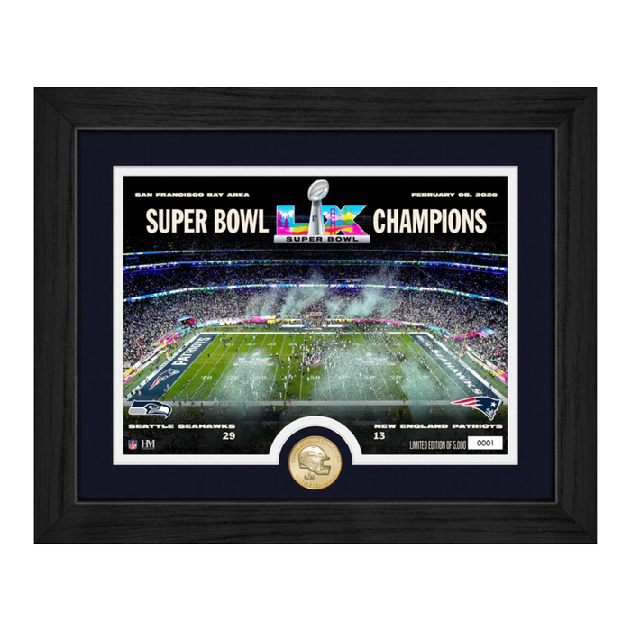 Framed Super Bowl LIX Champions photo with stadium view and coin