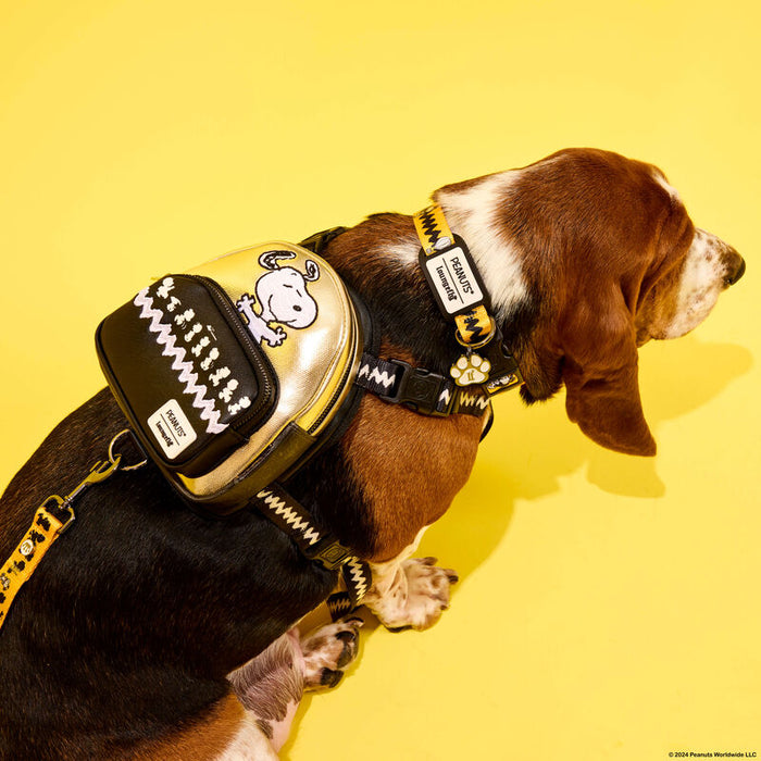 Peanuts 75th Anniversary Snoopy Dog Collar by Loungefly