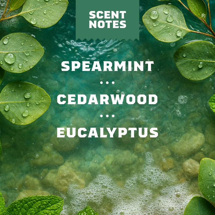 Spearmint, cedarwood, and eucalyptus scent notes with green leaves and water droplets on a textured background.