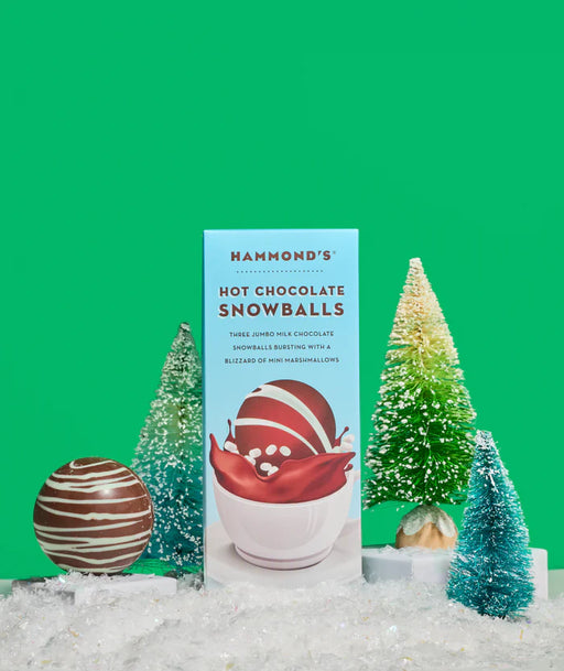 Hot Chocolate Snowballs