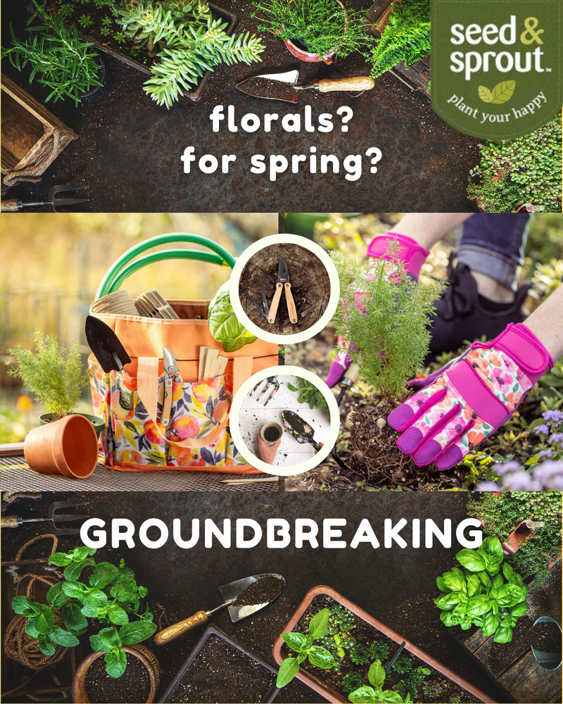 Seed & Sprout - florals? for spring? groundbreaking