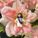 Small figurine of a person with long hair and a purple scarf on a pink flower.