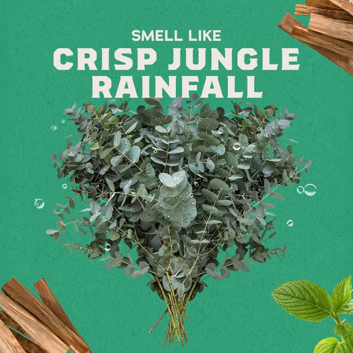 Text 'Smell Like Crisp Jungle Rainfall' with green foliage and dried leaves on a green background