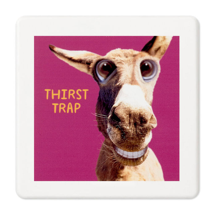 Smiling Donkey Photo Funny Coaster