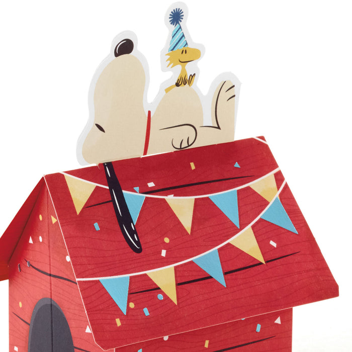 Red doghouse with cartoon dog and cat inside, decorated with colorful flags on a white background