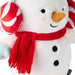 Snowman-in-Scarf-Mittens-Peppermint-Earmuffs-Plush_1KCX3039_05