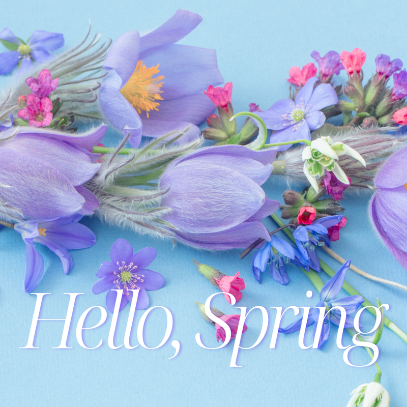 Spring flowers with 'Hello, Spring' text on a blue background