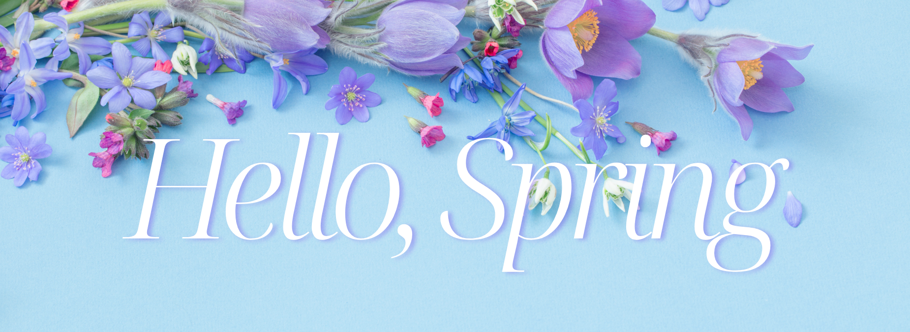 Floral arrangement with 'Hello, Spring' text on a light blue background