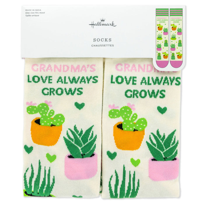 succulent socks Grandma's Love Always Grows Novelty Crew Socks — Trudy's Hallmark