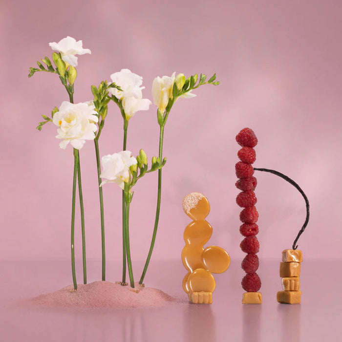 Artistic arrangement of flowers, berries, and decorative elements on a pink background