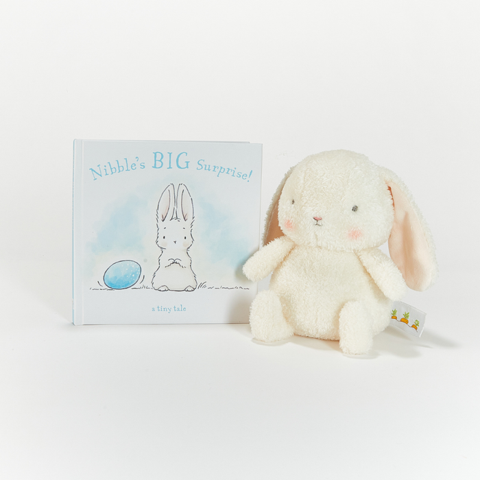 Plush bunny toy next to a children's book on a white background