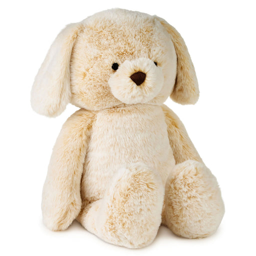 Beige stuffed dog toy on a white background