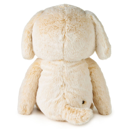 Beige stuffed animal toy on a white background