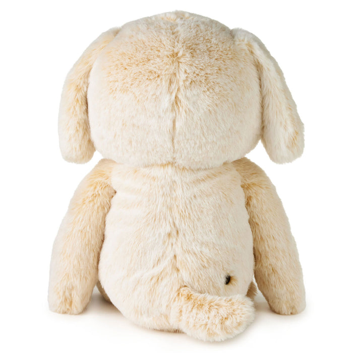 Beige stuffed animal toy on a white background