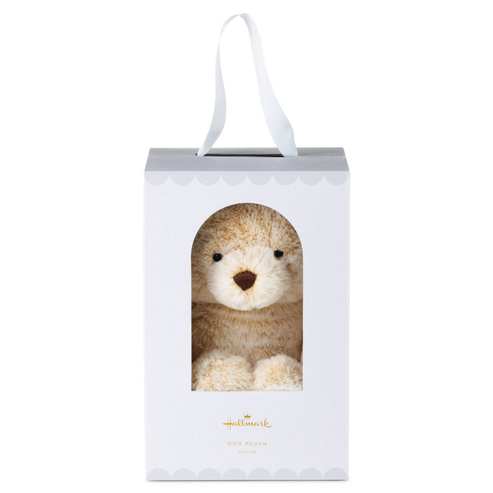Teddy bear in a gift box with 'Hallmark' branding on a white background