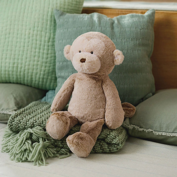 Brown monkey sitting on a green cushion with a soft focus background