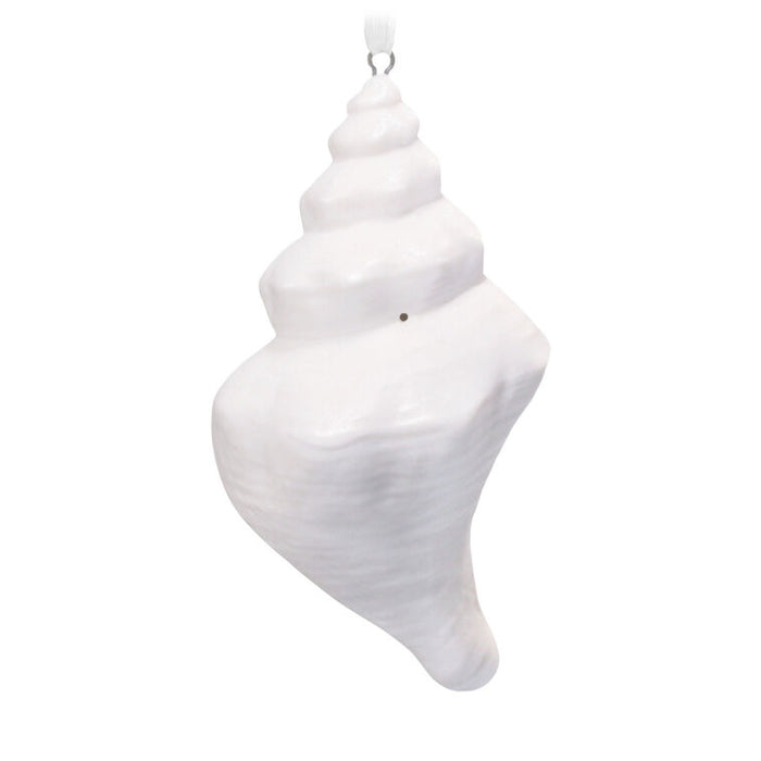 White decorative shell ornament on a white background