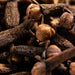 Pura Pumpkin Spice Fragrance Refill