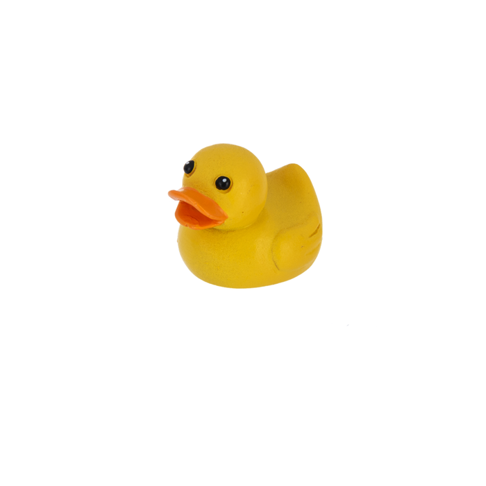 Yellow rubber duck on a white background
