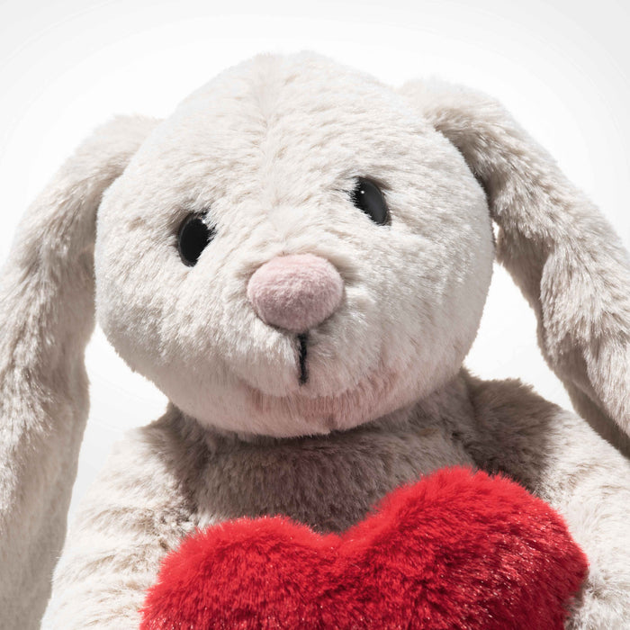 Plush toy rabbit with a red heart on a white background