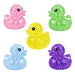 Different colored ducks on a white background