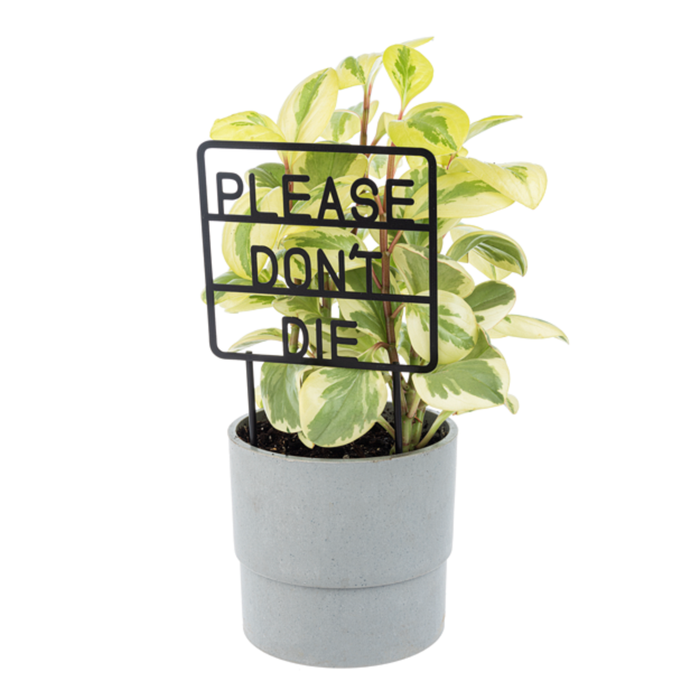 Plant Message Picks
