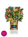 mini-butterflies-and-buttercups-823145-compressed